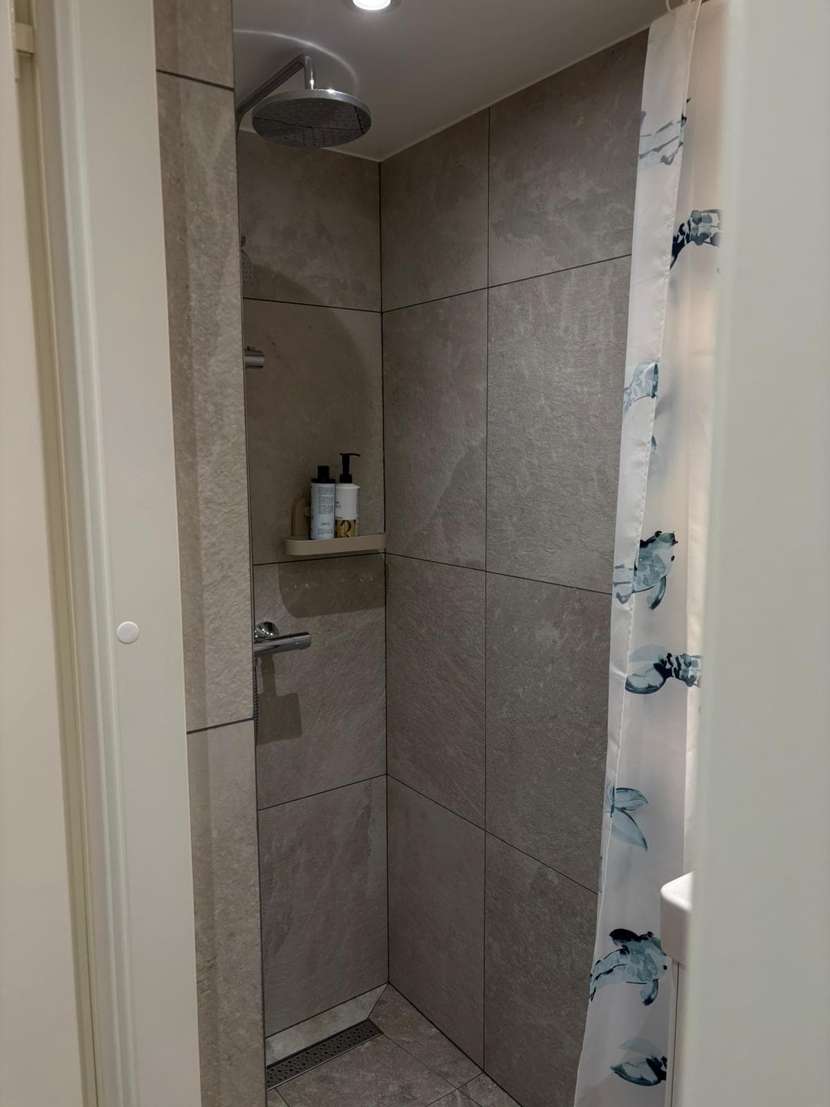 Modern bathroom with rain shower